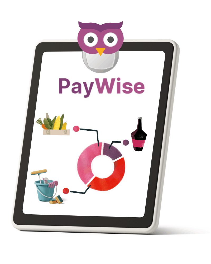 View your reports on paywise.co.za